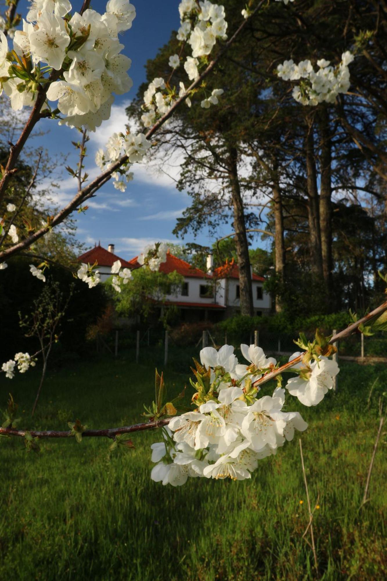 Lugar Da Pedra Alta - B&B - Private Historical Villa Melo Exterior foto